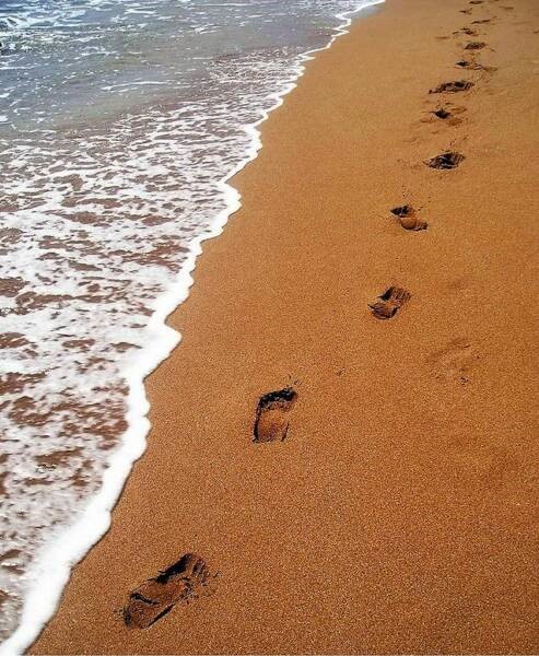 Footprints photo Footprints photo
